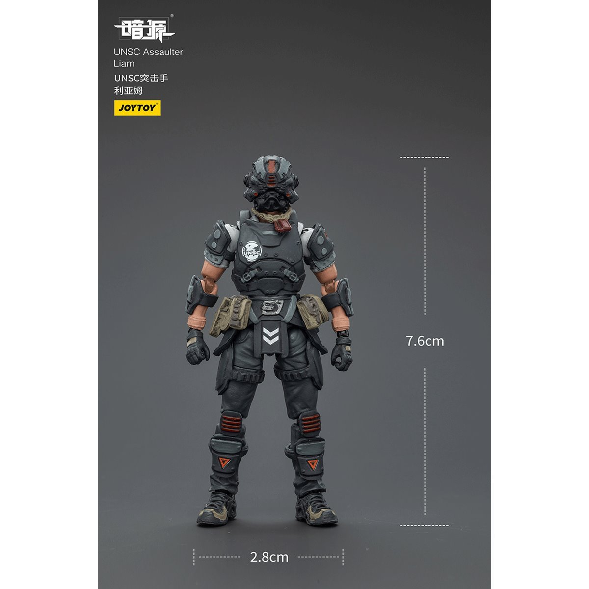 Dark Source UNSC Assaulter Liam 1:25 Scale Action Figure