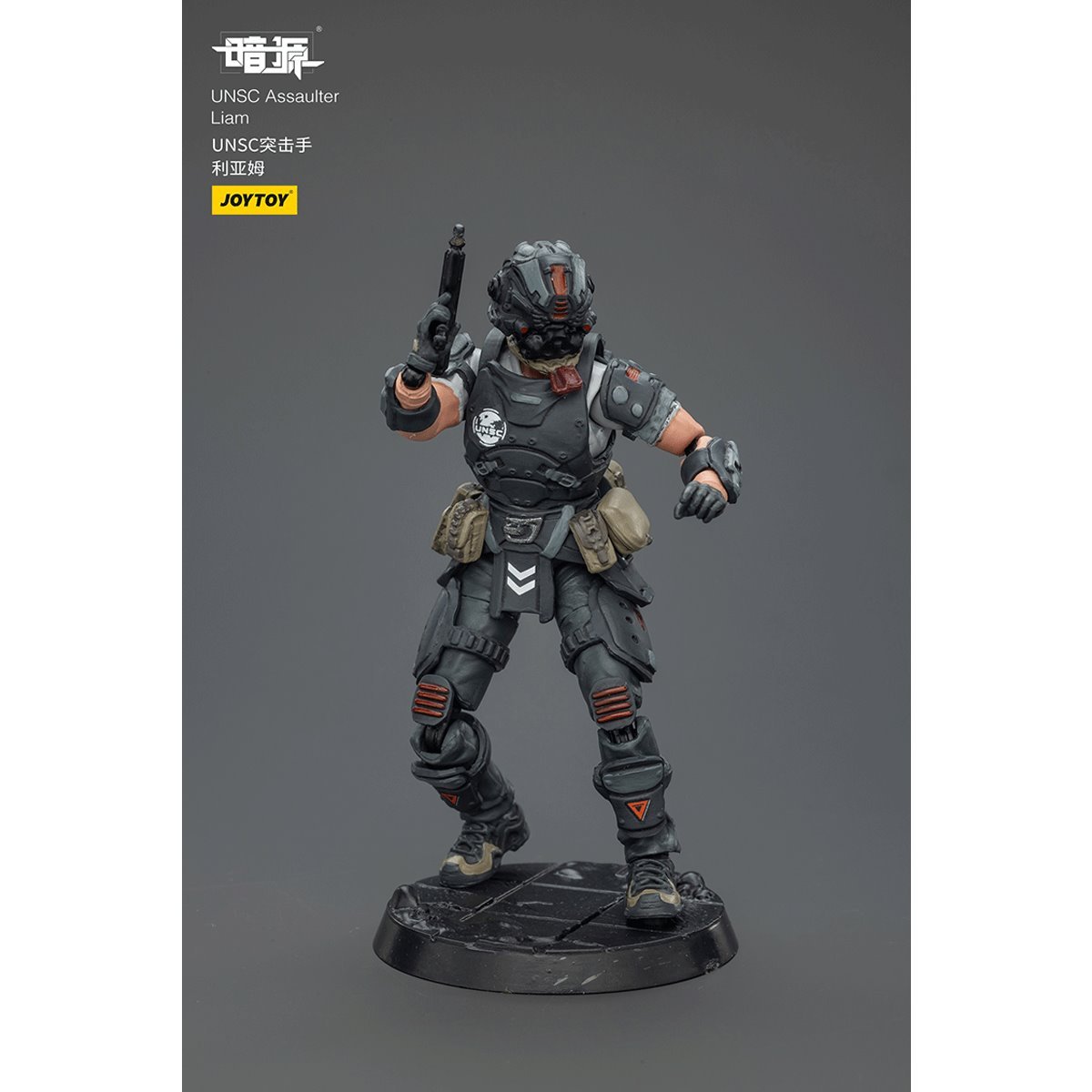 Dark Source UNSC Assaulter Liam 1:25 Scale Action Figure