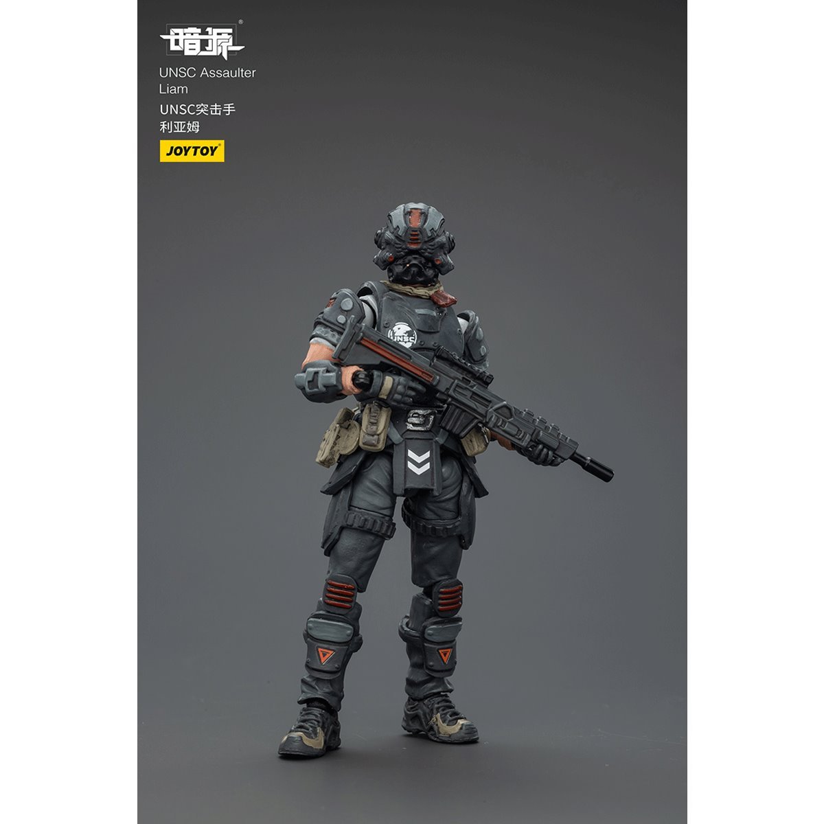 Dark Source UNSC Assaulter Liam 1:25 Scale Action Figure