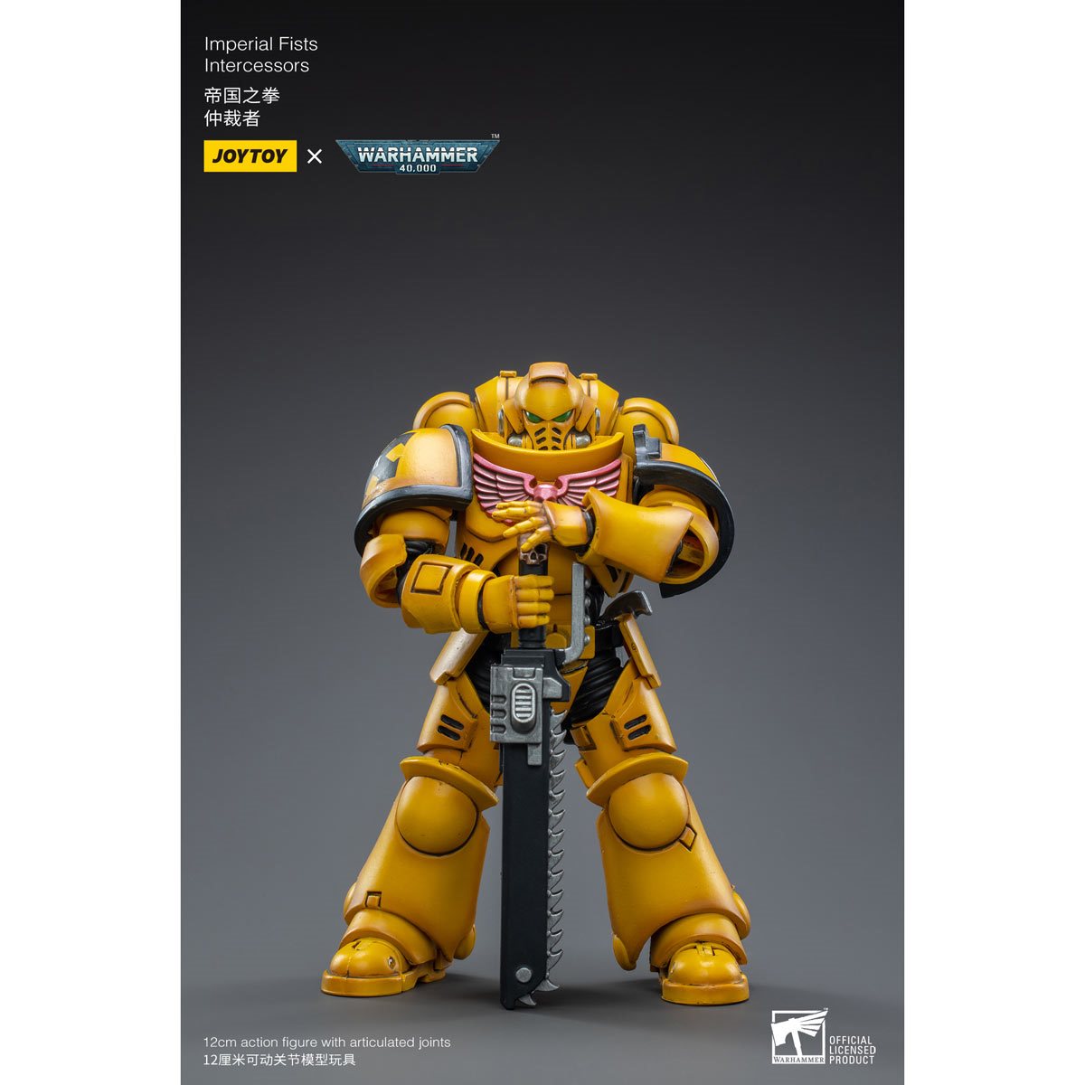 Warhammer 40,000 Imperial Fists Intercessors 1:18 Scale Action Figure