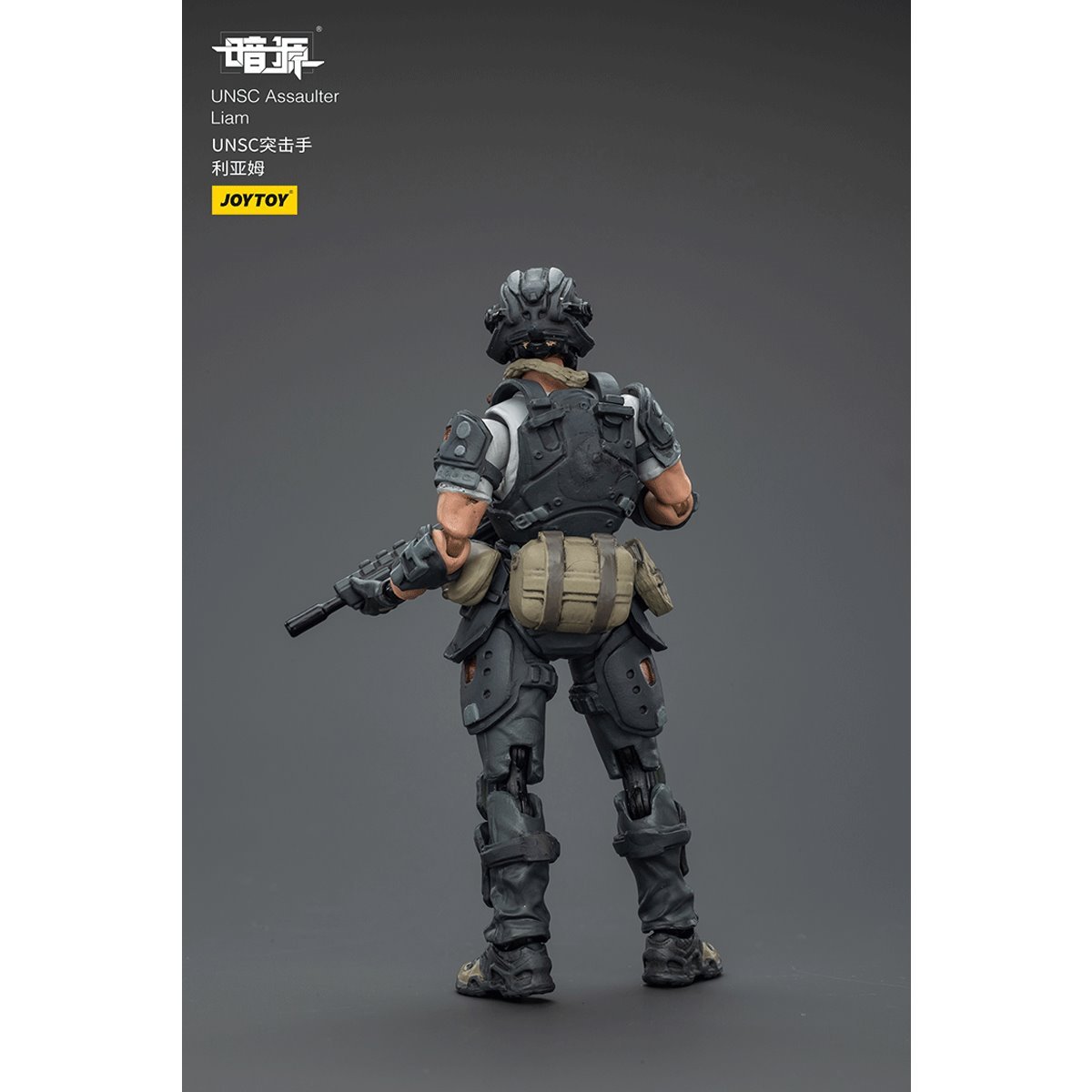 Dark Source UNSC Assaulter Liam 1:25 Scale Action Figure