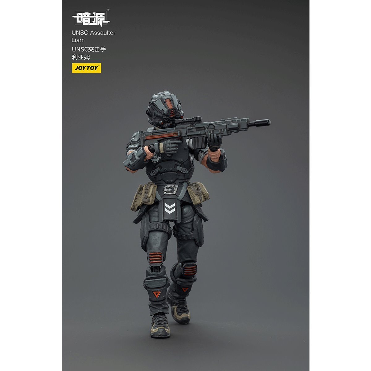 Dark Source UNSC Assaulter Liam 1:25 Scale Action Figure