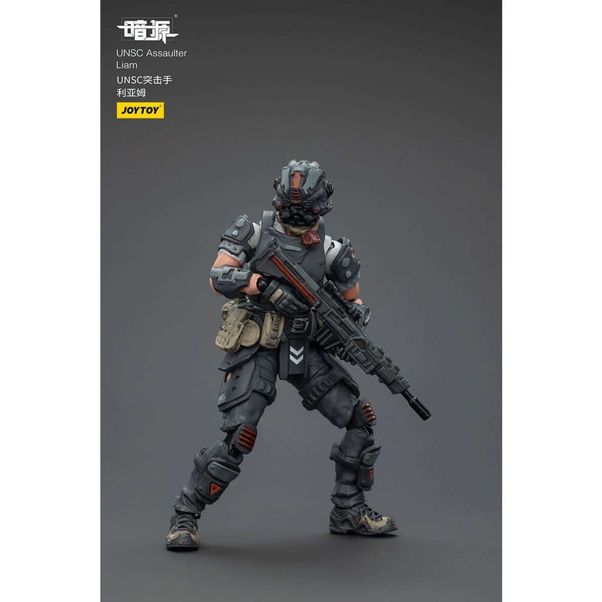 Dark Source UNSC Assaulter Liam 1:25 Scale Action Figure