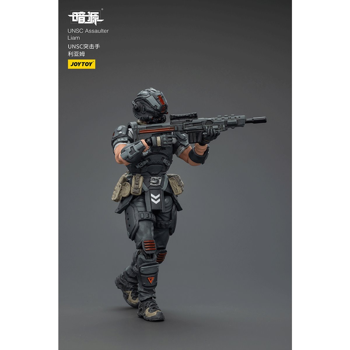 Dark Source UNSC Assaulter Liam 1:25 Scale Action Figure