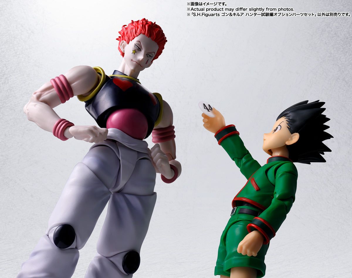 Hunter x Hunter Exam Option Parts Set for Gon and Killua
