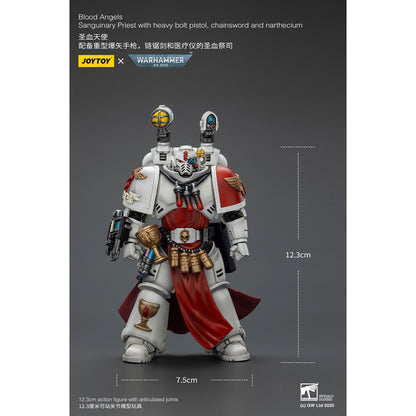 Warhammer 40,000 Blood Angels Sanguiary Priest 1:18 Scale Action Figure