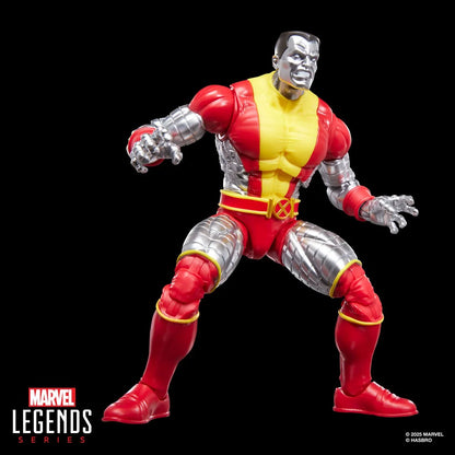 X-Men Marvel Legends Series Kitty Pryde and Colossus 6-Inch Action Figure 2-Pack