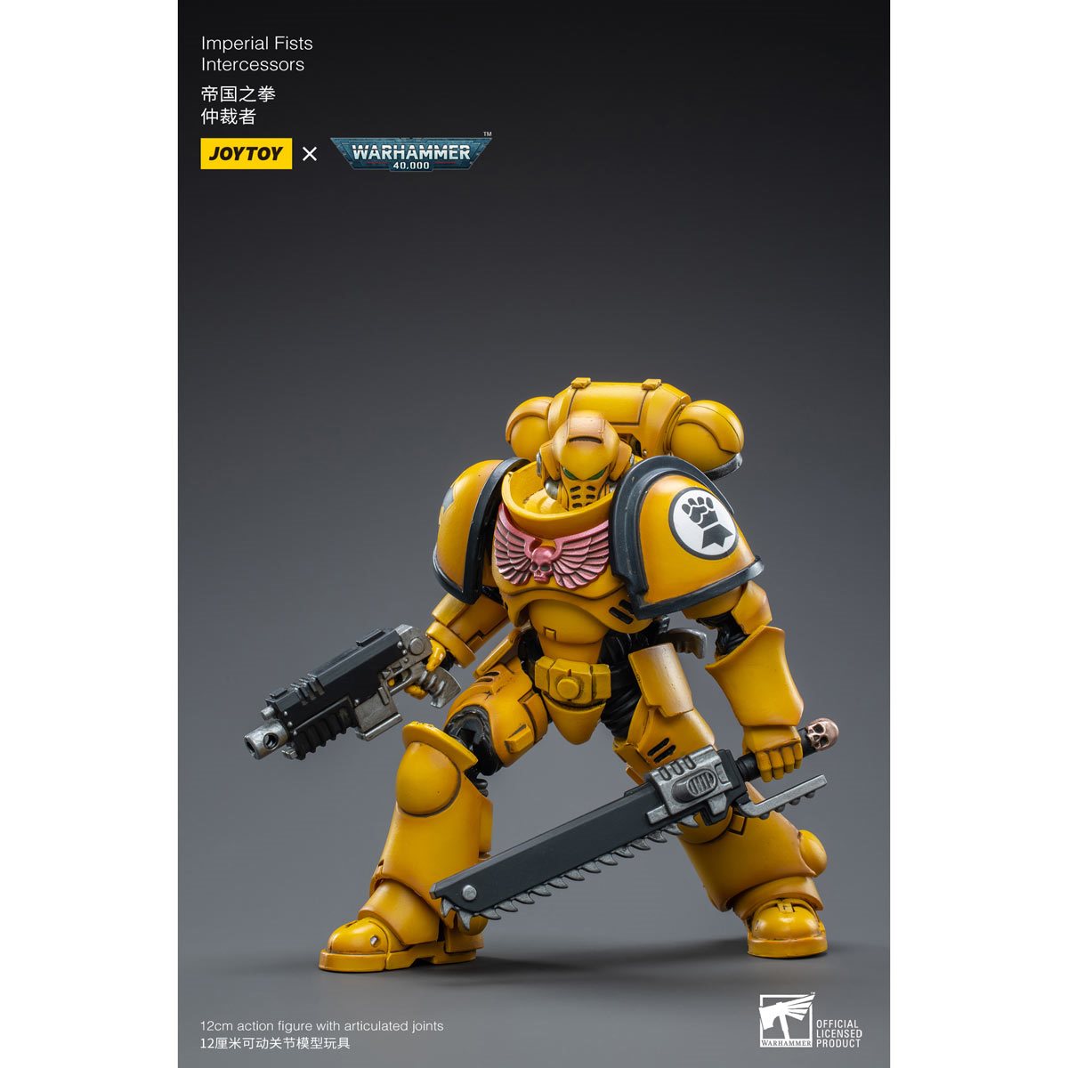 Warhammer 40,000 Imperial Fists Intercessors 1:18 Scale Action Figure