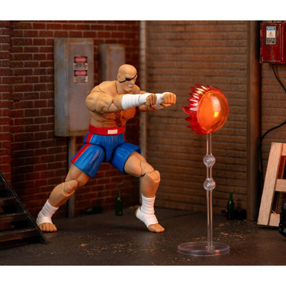 Street Fighter II Sagat Action Figure