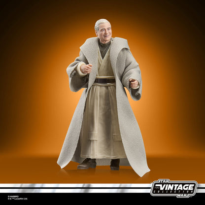 Star Wars The Vintage Collection Anakin Skywalker (ROTJ) 3 3/4-Inch Action Figure