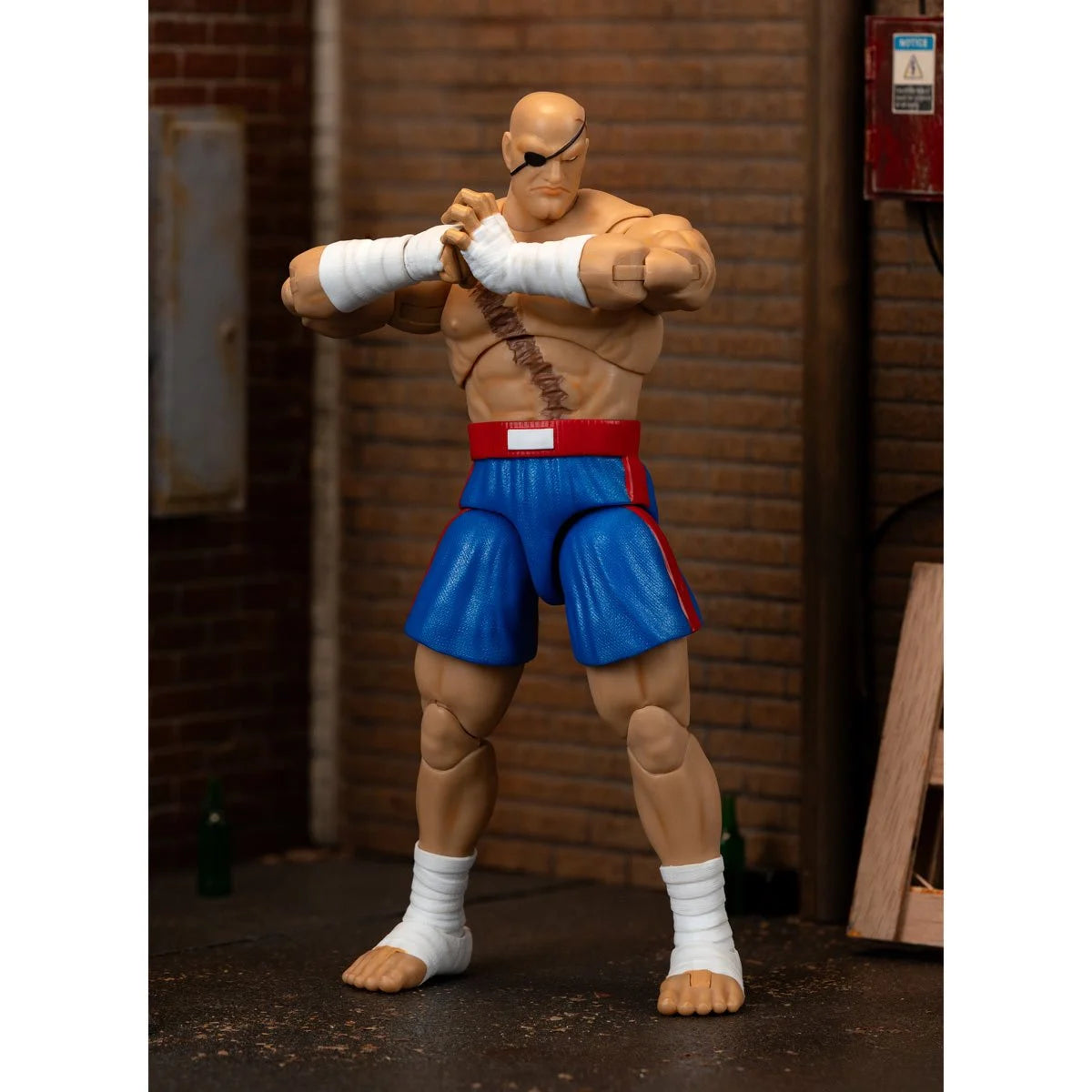 Street Fighter II Sagat Action Figure