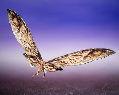 Godzilla x Kong: The New Empire 2024 Suko and Mothra S.H.MonsterArts Action Figure