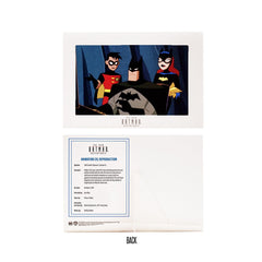 DC The New Batman Adventures Wave 5 Batman Silver 6-Inch Action Figure