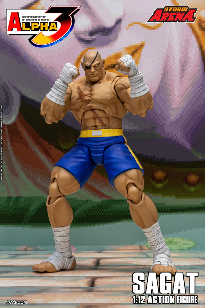 Street Fighter Alpha 3 Storm Arena Sagat 1/12 Scale Action Figure