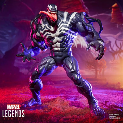 Marvel Legends Series Marvel Rivals Venom & Jeff the Land Shark Action Figure 2-Pack