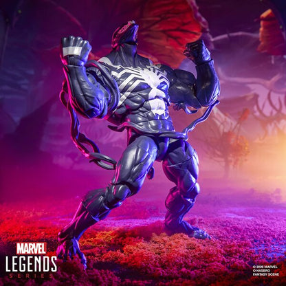 Marvel Legends Series Marvel Rivals Venom & Jeff the Land Shark Action Figure 2-Pack