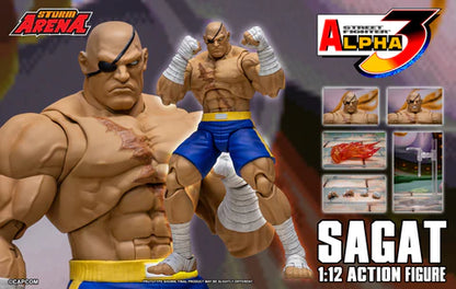 Street Fighter Alpha 3 Storm Arena Sagat 1/12 Scale Action Figure