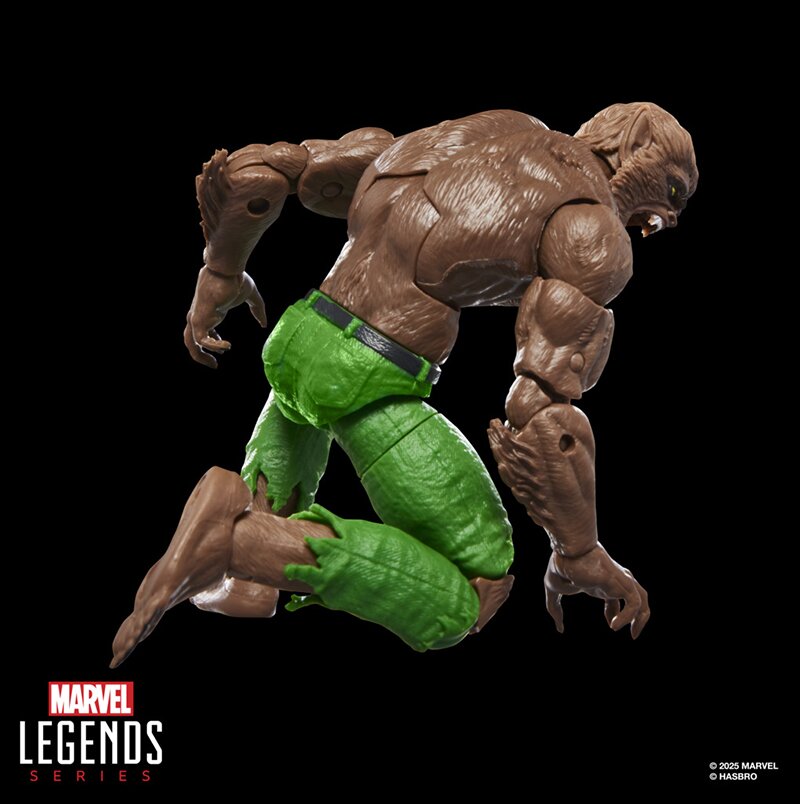 Marvel Legends Series Werewolf By Night, Marvel Comics Collectible 6-Inch Scale Action Figure