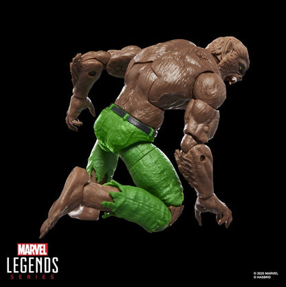 Marvel Legends Series Werewolf By Night, Marvel Comics Collectible 6-Inch Scale Action Figure