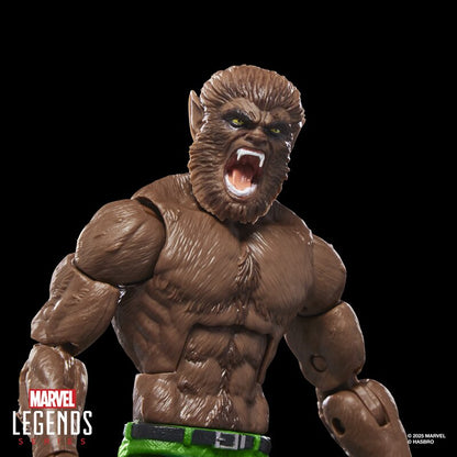 Marvel Legends Series Werewolf By Night, Marvel Comics Collectible 6-Inch Scale Action Figure