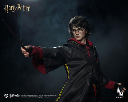INART Harry Potter and the Deathly Hallows - Harry Potter 1/6 Collectible Figure