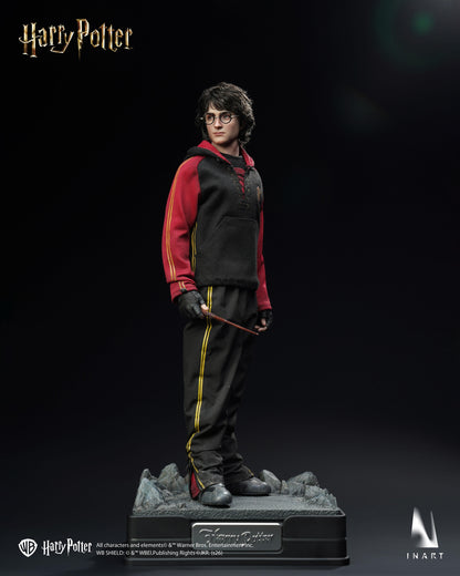 INART Harry Potter and the Deathly Hallows - Harry Potter 1/6 Collectible Figure