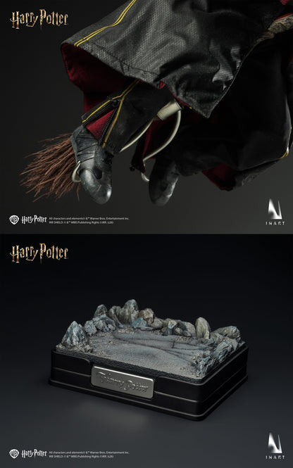 INART Harry Potter and the Deathly Hallows - Harry Potter 1/6 Collectible Figure