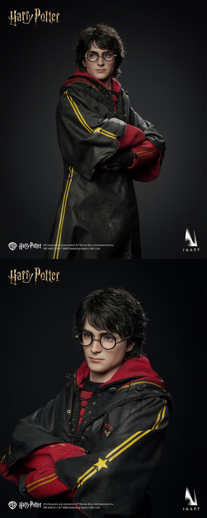 INART Harry Potter and the Deathly Hallows - Harry Potter 1/6 Collectible Figure
