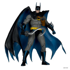 DC Collector Edition Batman Year Two Version Action Figure (Chase)