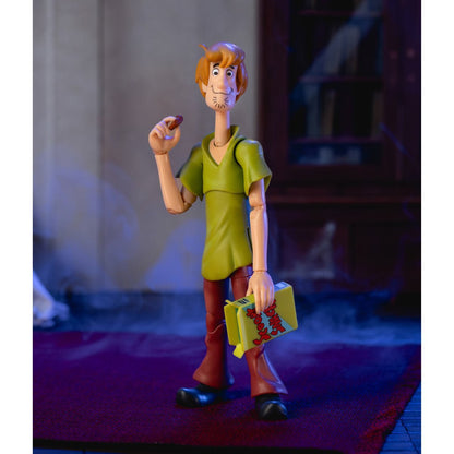 Scooby-Doo! Shaggy 1:12 Scale Action Figure