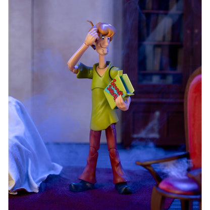 Scooby-Doo! Shaggy 1:12 Scale Action Figure