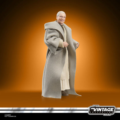 Star Wars The Vintage Collection Anakin Skywalker (ROTJ) 3 3/4-Inch Action Figure