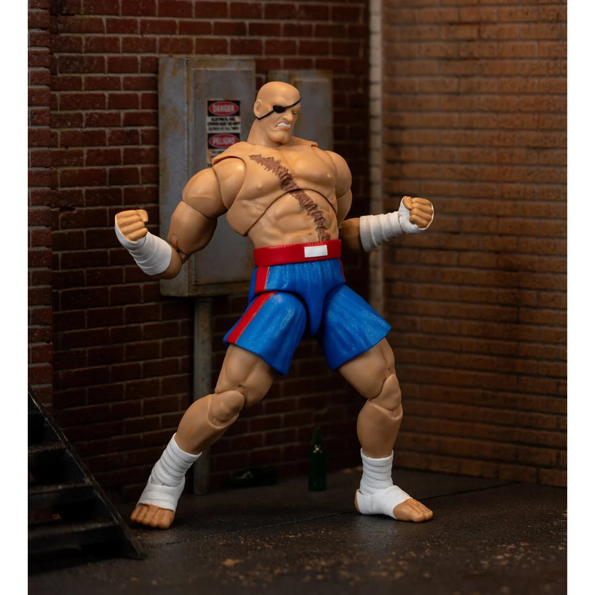 Street Fighter II Sagat Action Figure