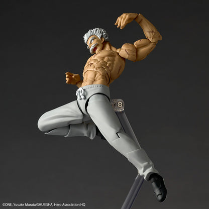 One-Punch Man Silver Fang Revoltech Amazing Yamaguchi Action Figure