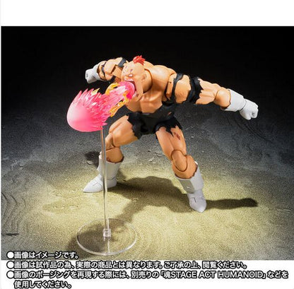 Dragon Ball Z Recoome (Nightmare Recoome) Exclusive S.H. Figuarts Action Figure