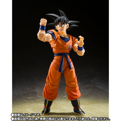 [Pre-Order] Dragon Ball Z Goku & Gohan Kid & Flying Nimbus Exclusive S.H.Figuarts Action Figure